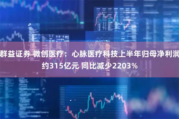 群益证券 微创医疗：心脉医疗科技上半年归母净利润约315亿元 同比减少2203%