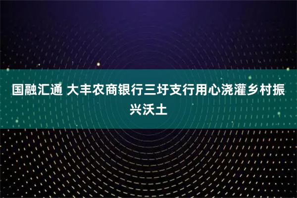国融汇通 大丰农商银行三圩支行用心浇灌乡村振兴沃土