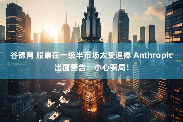 谷锦网 股票在一级半市场太受追捧 Anthropic出面警告：小心骗局！