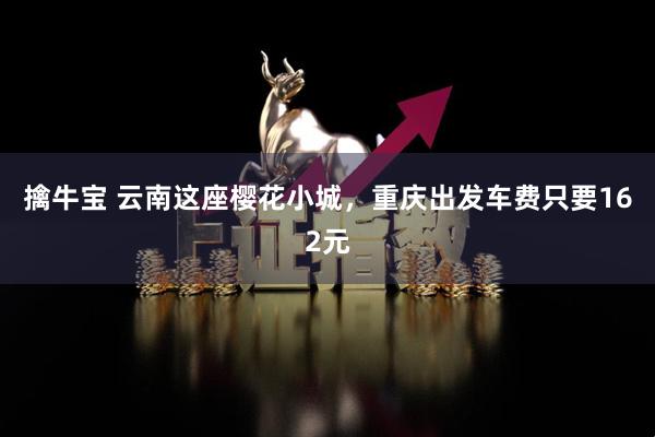擒牛宝 云南这座樱花小城，重庆出发车费只要162元